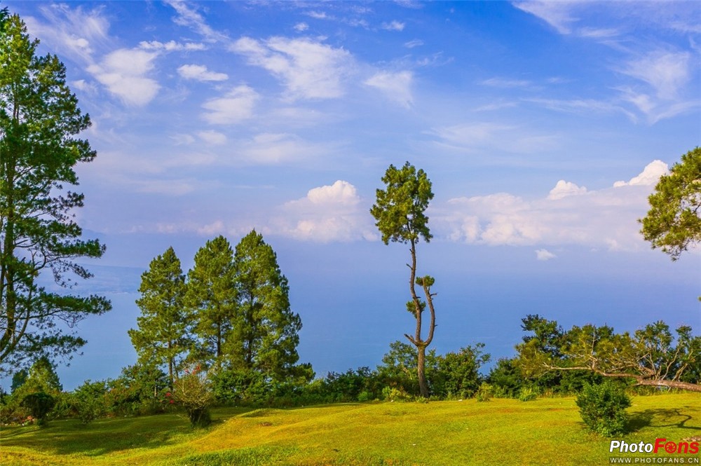 浣宠兘鐩告満dc,杩戞湡浣宠兘鐩告満鎺ㄨ崘