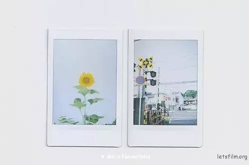 怎样用拍立得拍出好看的照片,怎样用拍立得拍出好照片