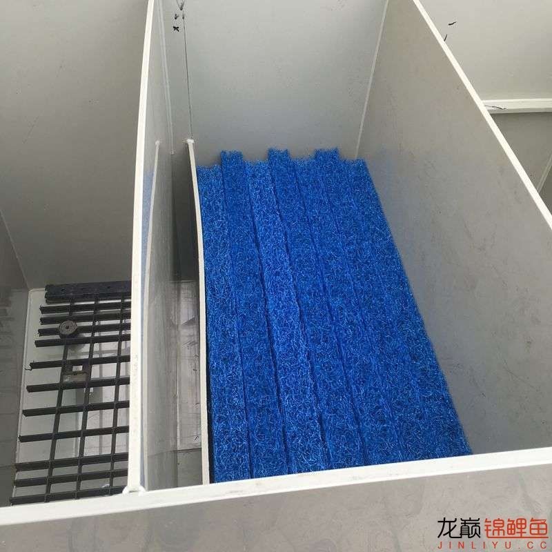 大型pp塑料锦鲤池,超大pp塑料锦鲤池