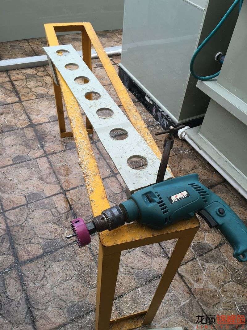 大型pp塑料锦鲤池,超大pp塑料锦鲤池