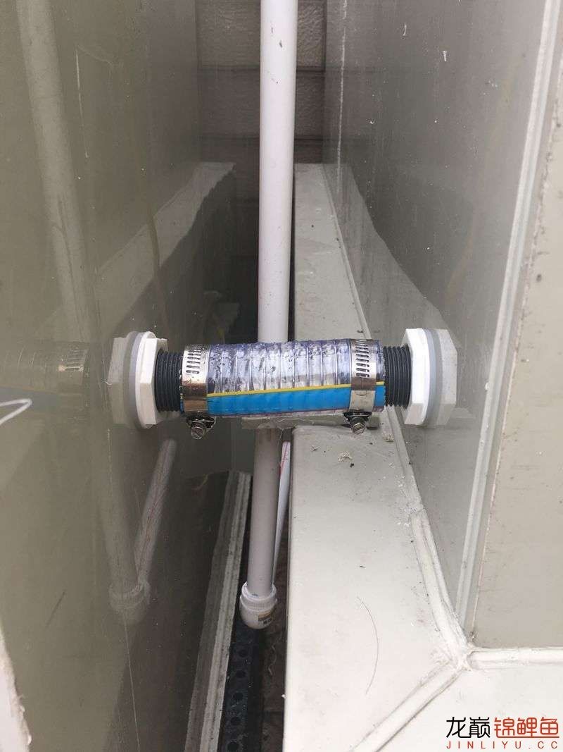 大型pp塑料锦鲤池,超大pp塑料锦鲤池