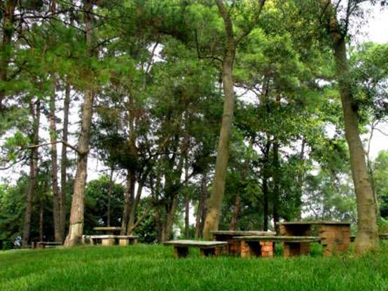 南宁十大最美农家乐推荐,南宁农家乐排行榜合适小朋友