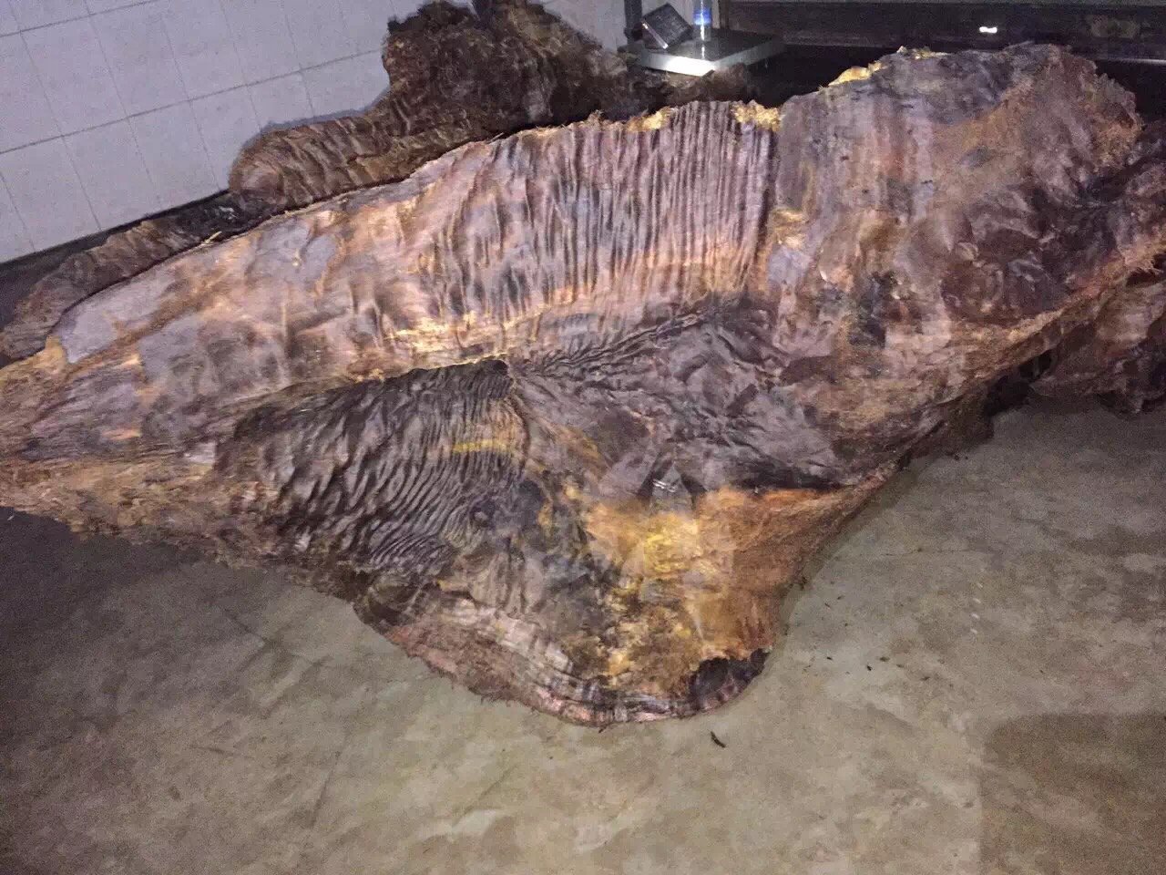 农民挖出天价乌木归属引争议,四川挖到天价乌木纪录片