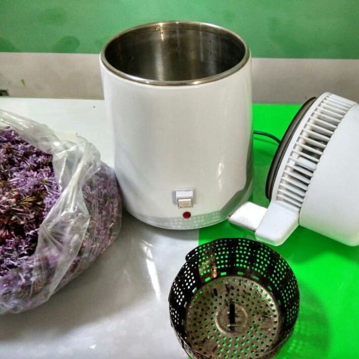 丁香花纯露功能与功效,丁香花纯露怎么做