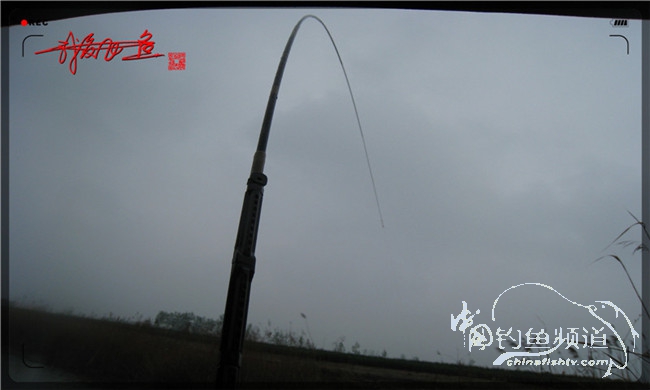 风雨无阻之我爱飞鱼去‘*欢寻**’！