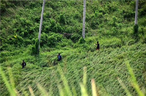 巴厘岛和我想象中的不一样,巴厘岛简直是人间天堂
