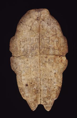 说文解字中文的含义,说文解字中文的字形是什么