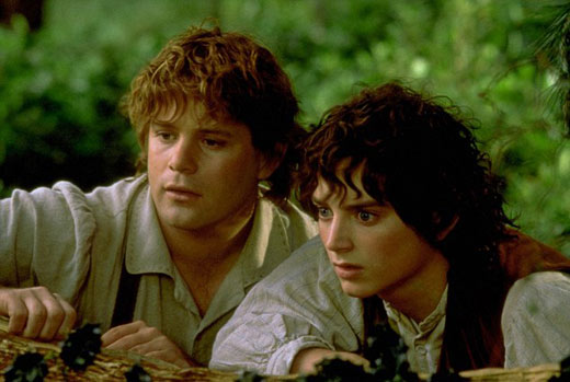 哈利波特和弗罗多,弗罗多哈利波特