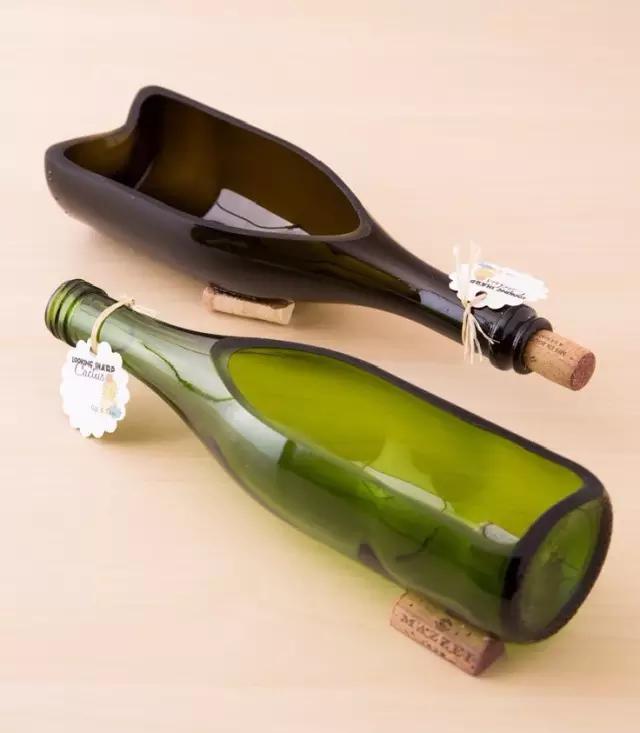 红酒瓶与多肉,玻璃瓶与多肉的邂逅