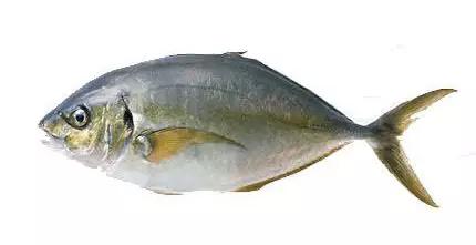 怎样才有南通户口,南通城市户口政策