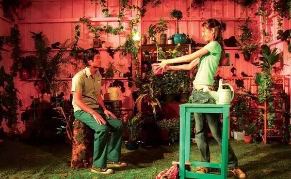 爱丽丝梦游仙境唯美景色,爱丽丝梦游仙境超美场景