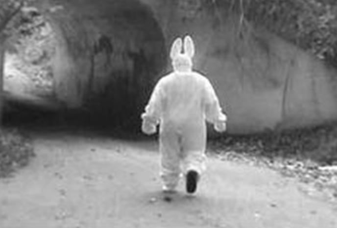揭秘：神秘的兔子杀手隐藏在“Bunny隧道”的真相