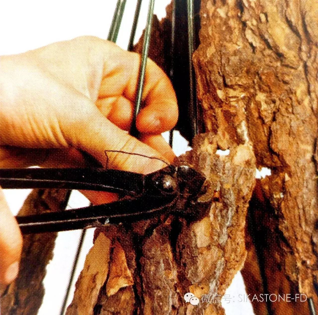 创意花艺教程简单易学,自然式花艺制作全过程