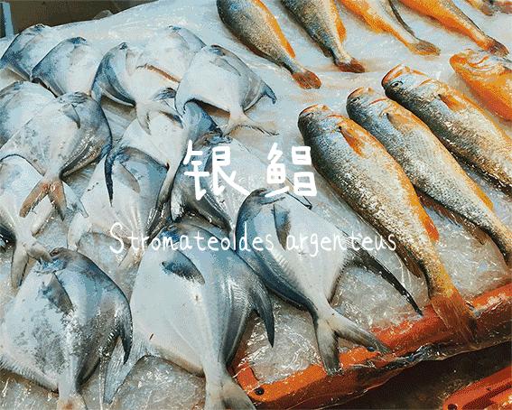 浙江海边小渔村,浙江小渔村自驾