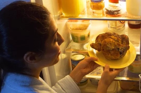 冰箱冷藏室灯亮冷冻室不起功能,冰箱灯亮冷冻室不冷冻是怎么回事