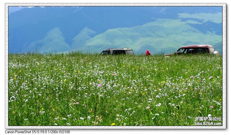梦里花开——*疆新**，又一次的心动