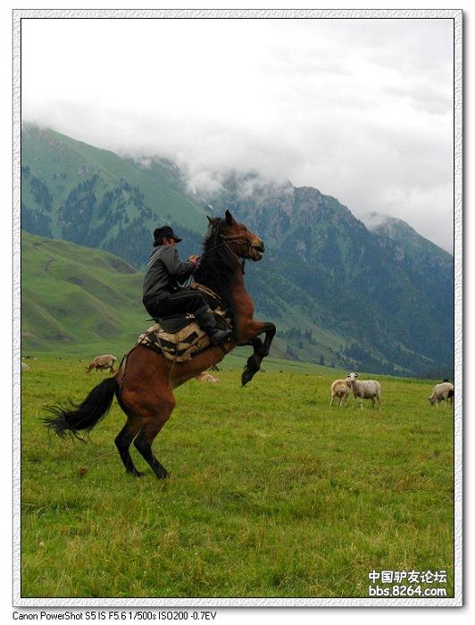 梦里花开——*疆新**，又一次的心动