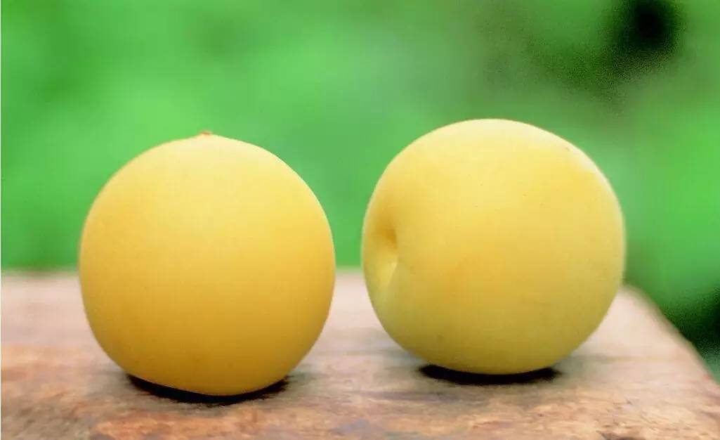 原来这些食物都能够治病,这些食物竟然能治病