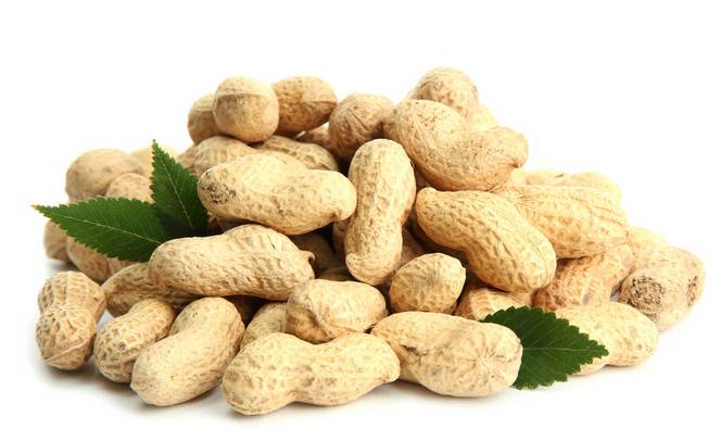 原来这些食物都能够治病,这些食物竟然能治病