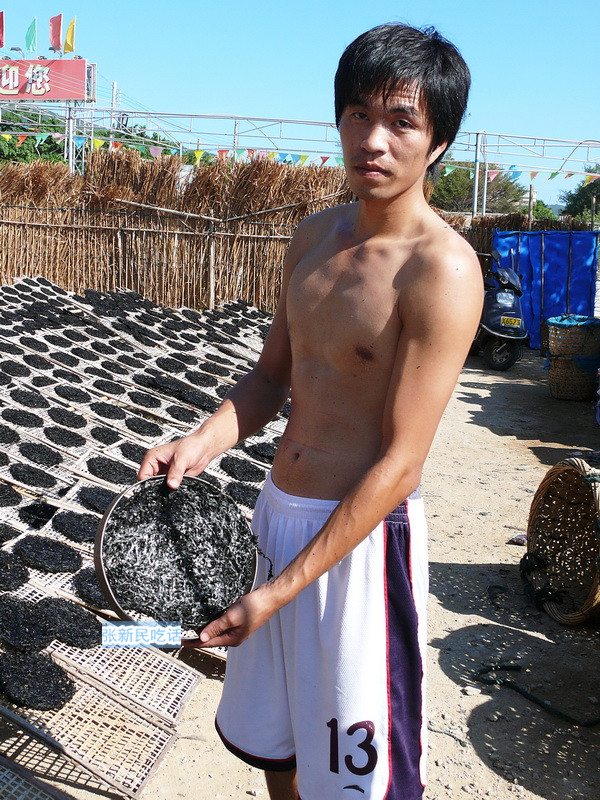 紫菜堪称海藻之王，但潮汕人为什么要说“浪险过打紫菜”呢？