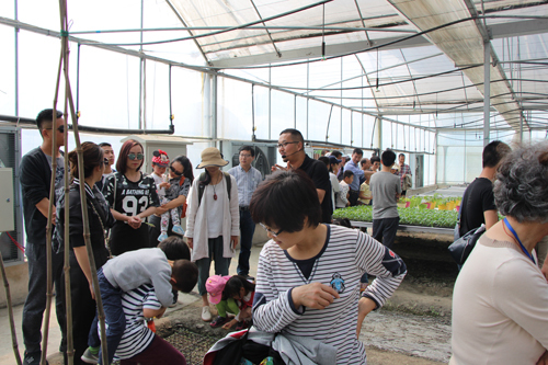 成都尚作公司,成都尚作公司怎么样