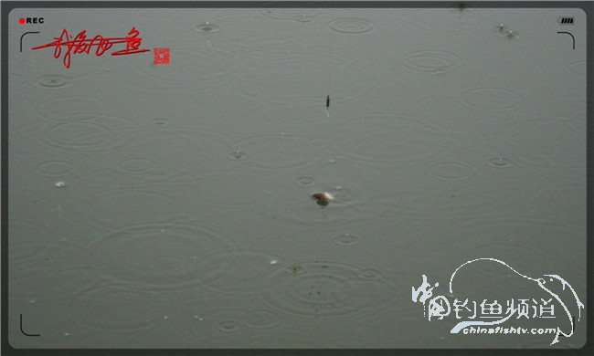 风雨无阻之我爱飞鱼去‘*欢寻**’！