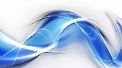 解决宠物十大皮肤问题,宠物美容避免走弯路的方法