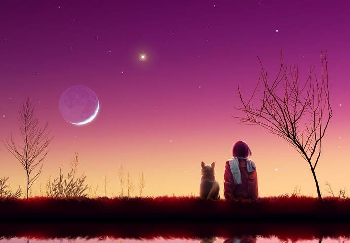 山有木兮心悦君兮君不知下一句,山有木兮木有枝心悦君兮君不知mv