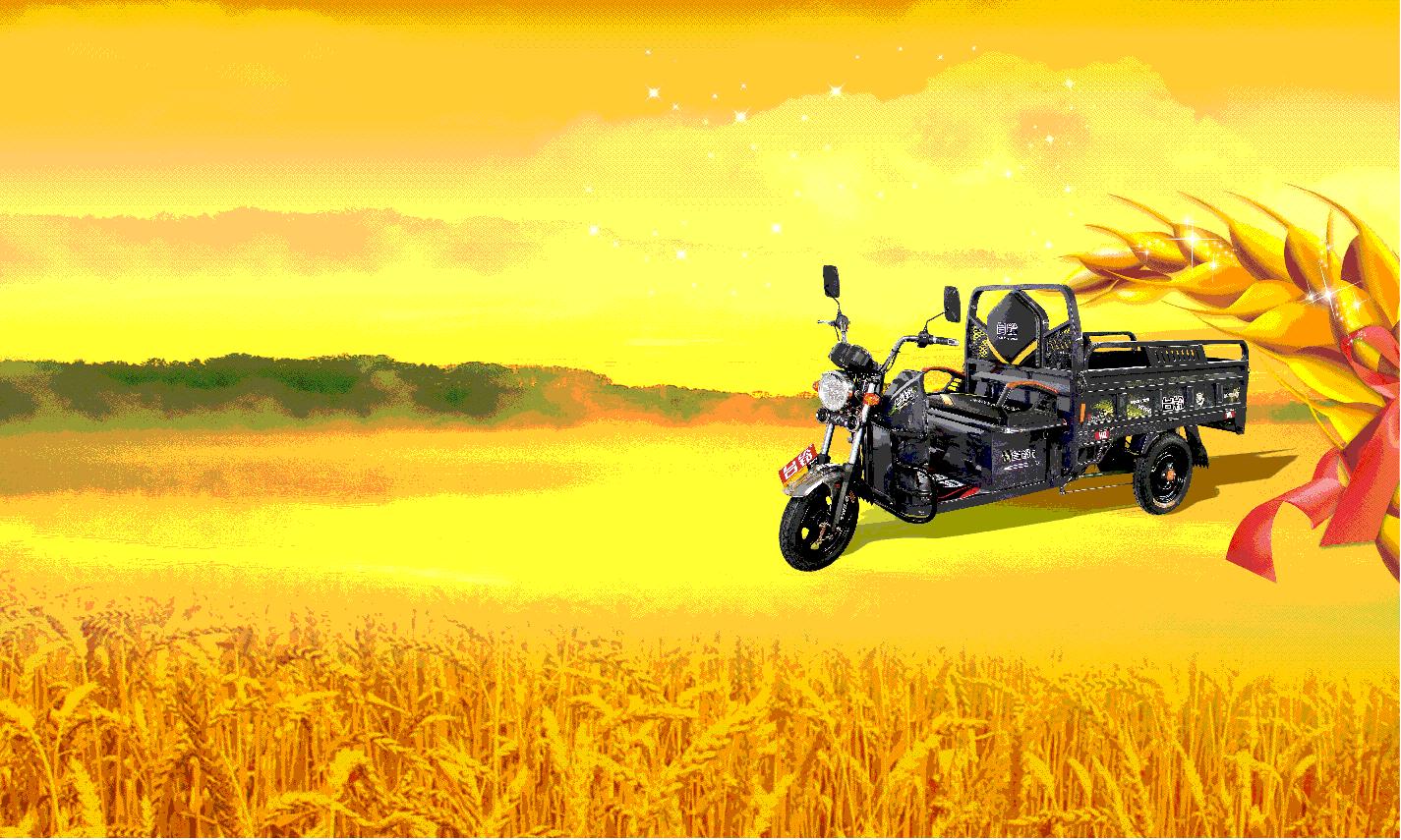 台铃电动休闲三轮车质量怎么样,台铃三轮车全部价格报价表