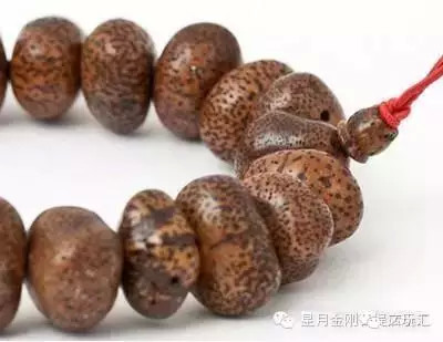 盘点星月菩提的十大问题建议收藏,星月菩提哪种能够玩得最长久