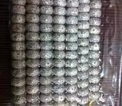 盘点星月菩提的十大问题建议收藏,星月菩提哪种能够玩得最长久