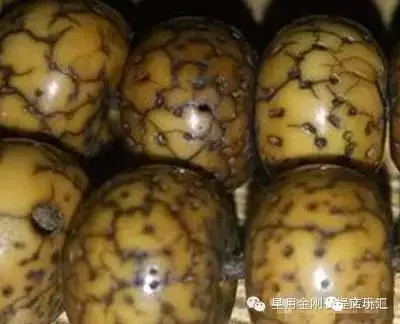 盘点星月菩提的十大问题建议收藏,星月菩提哪种能够玩得最长久