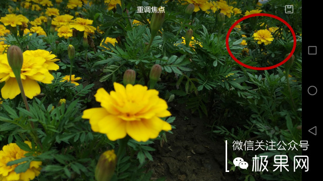 翻转吧摄像头，前后都能照出完美的照片：荣耀7i体验