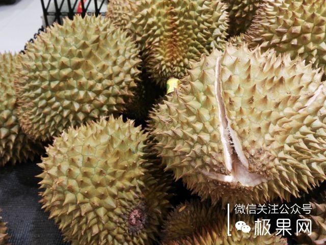 翻转吧摄像头，前后都能照出完美的照片：荣耀7i体验