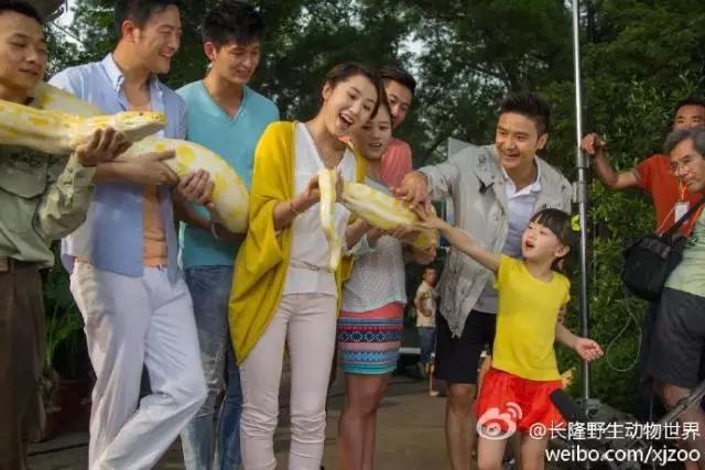 长隆合适小朋友玩的地方,长隆有哪些小朋友能够玩的项目