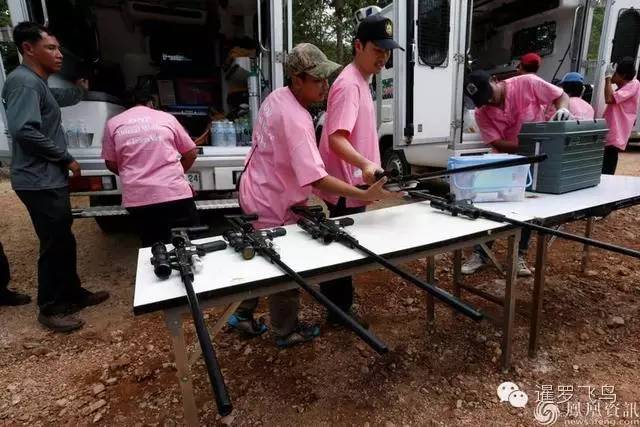 147大老虎全被抓走了？泰国虎庙或将无虎！