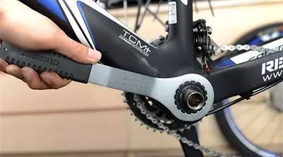 解决宠物十大皮肤问题,宠物美容避免走弯路的方法