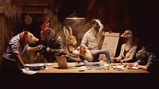 信阳不为人知的那些种族，你究竟是哪一族？