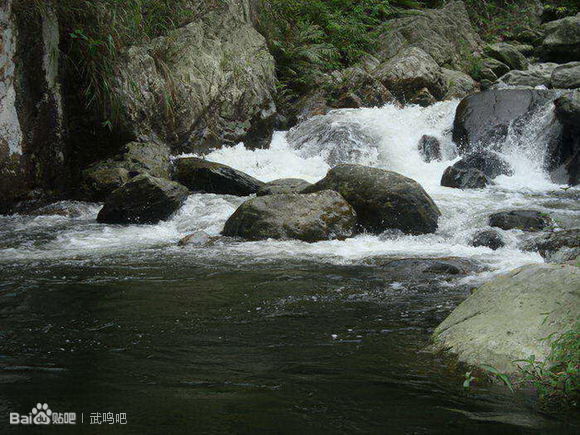 南宁十大最美农家乐推荐,南宁农家乐排行榜合适小朋友