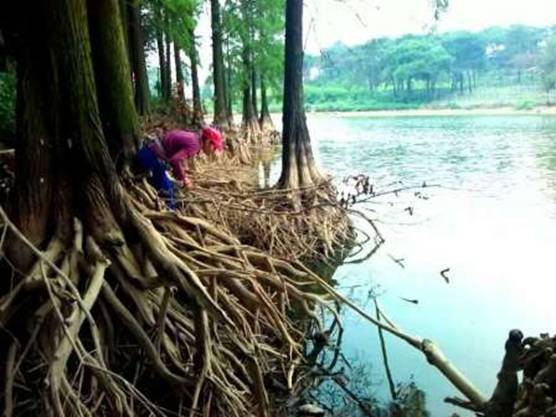 南宁十大最美农家乐推荐,南宁农家乐排行榜合适小朋友