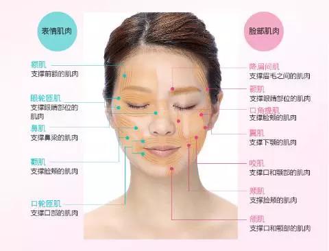 其实任何护肤品都不能被皮肤吸收,其实护肤品都很鸡肋吗