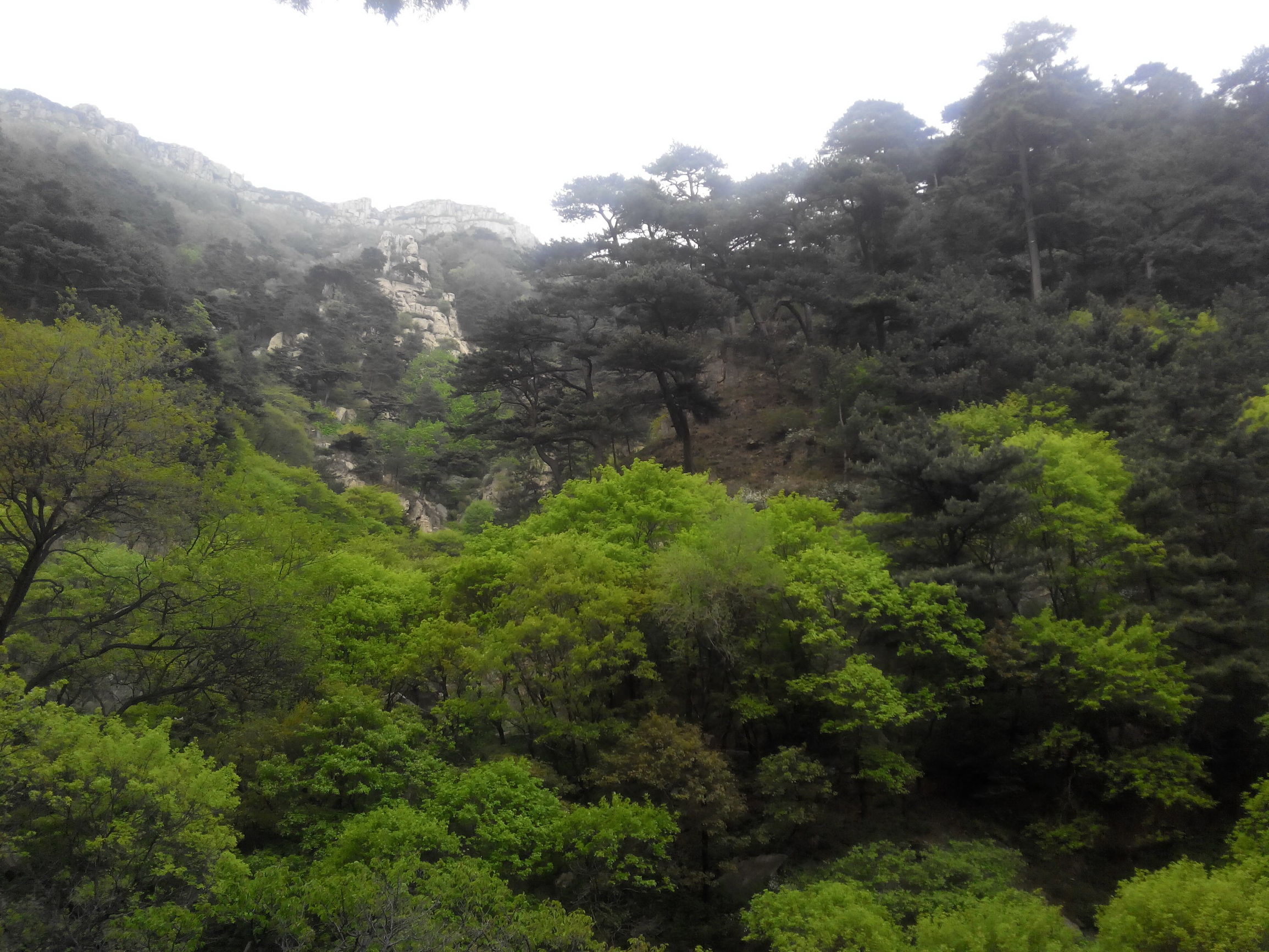 天津去泰山自由行攻略,天津泰山旅游攻略自助游