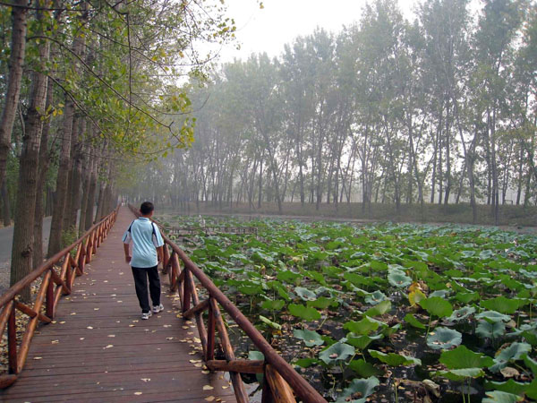 滕州微山湖红荷湿地游览攻略,自驾游山东滕州微山湖红荷湿地