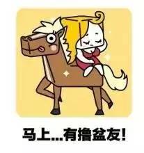 猴年马月实现了吗,猴年马月愿望实现吗