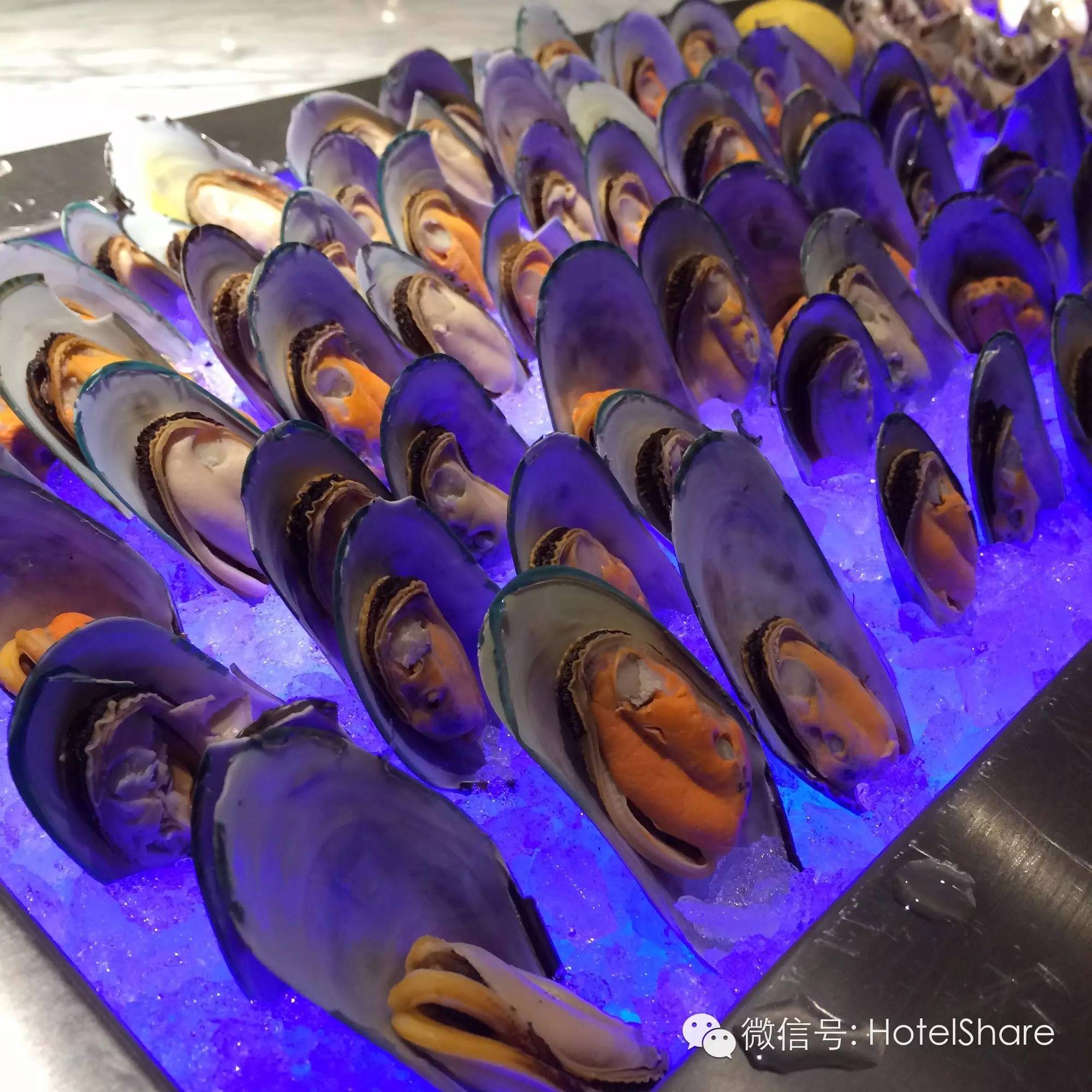 哈尔滨十大最火的酒店,哈尔滨最贵的酒店真实感受