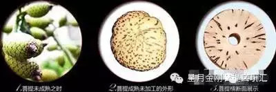 盘点星月菩提的十大问题建议收藏,星月菩提哪种能够玩得最长久