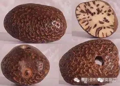 盘点星月菩提的十大问题建议收藏,星月菩提哪种能够玩得最长久