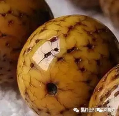 盘点星月菩提的十大问题建议收藏,星月菩提哪种能够玩得最长久