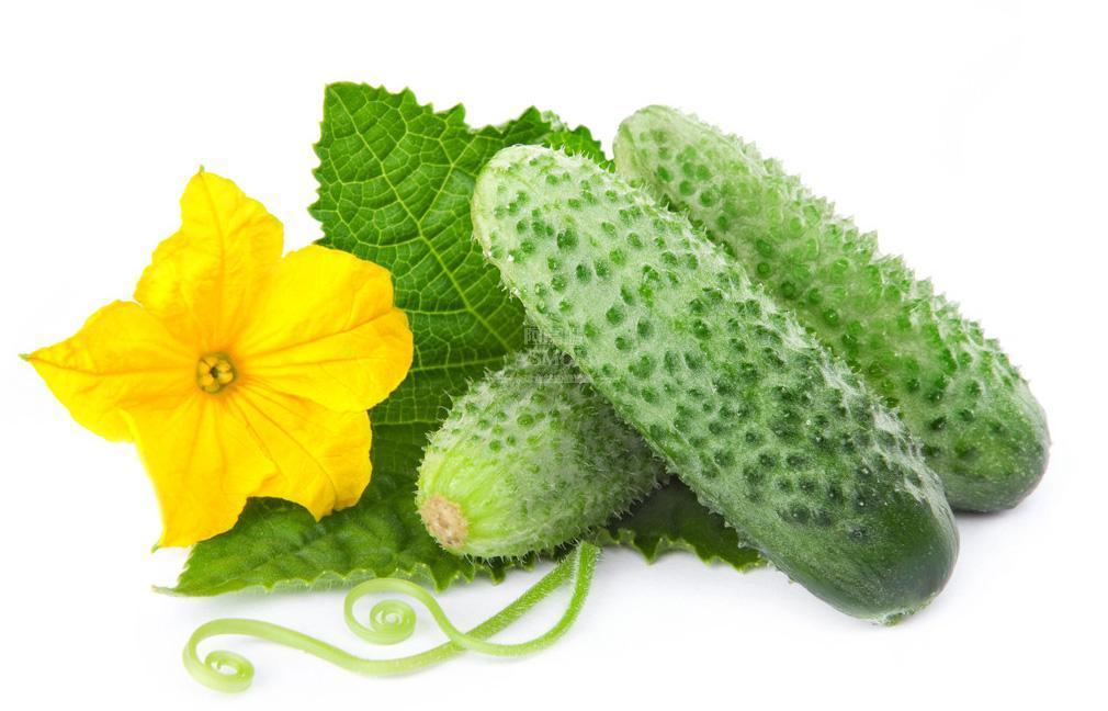 最合适宝宝吃的十大蔬菜排行,宝宝营养好吸收的蔬菜