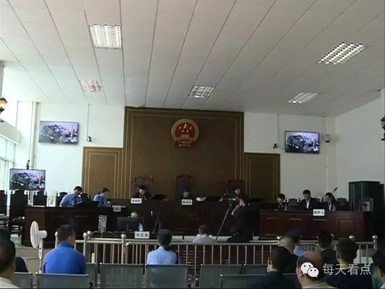 飞龙非法集资诈骗案,新乡市飞龙集团集资案如何宣判